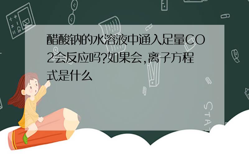 醋酸钠的水溶液中通入足量CO2会反应吗?如果会,离子方程式是什么