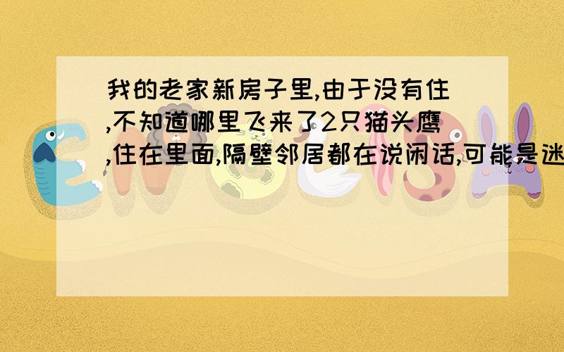 我的老家新房子里,由于没有住,不知道哪里飞来了2只猫头鹰,住在里面,隔壁邻居都在说闲话,可能是迷信思想吧,有什么坏处和好处呢?