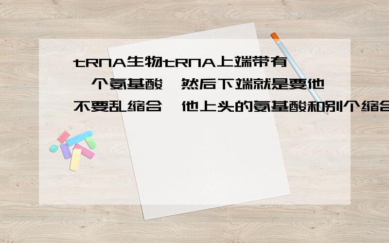 tRNA生物tRNA上端带有一个氨基酸,然后下端就是要他不要乱缩合,他上头的氨基酸和别个缩合啦,他就消失拉上端的氨基酸和他旁边那个缩合拉，他就没用拉么？就消失拉么