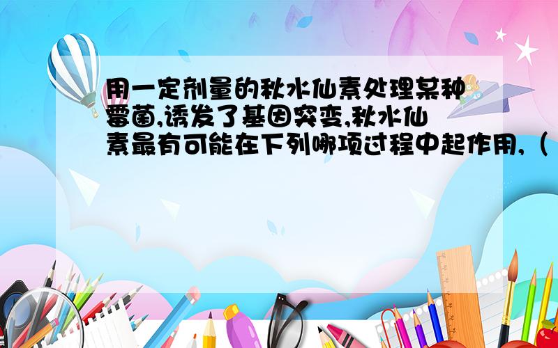 用一定剂量的秋水仙素处理某种霉菌,诱发了基因突变,秋水仙素最有可能在下列哪项过程中起作用,（ ） A 有丝分裂前期 B.有丝分裂全过程C 受精作用过程 D.减数第一次分裂间期求,答案和原因