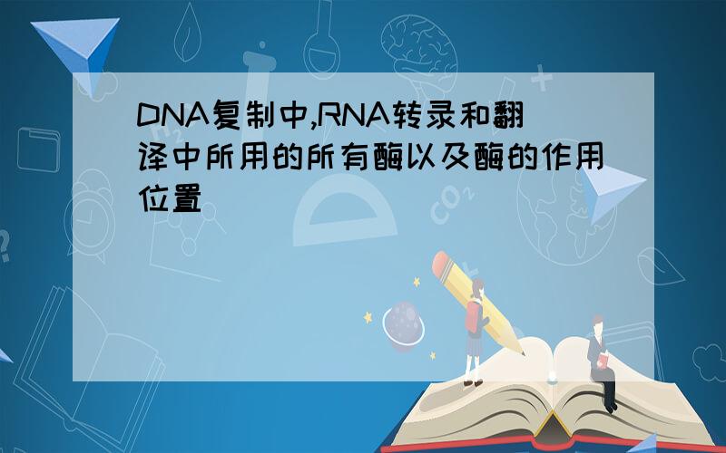 DNA复制中,RNA转录和翻译中所用的所有酶以及酶的作用位置