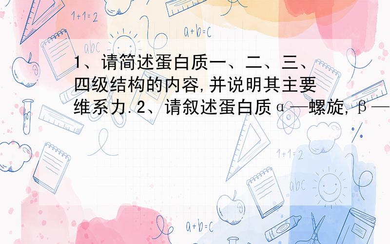 1、请简述蛋白质一、二、三、四级结构的内容,并说明其主要维系力.2、请叙述蛋白质α—螺旋,β—折叠,β—转角结构的主要内容及参数.3、蛋白质含量的测定方法有哪些,其主要原理是什么?4