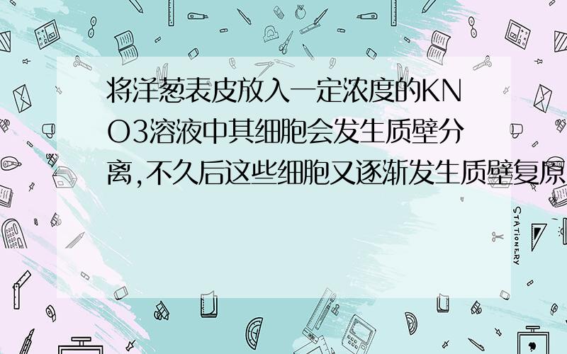 将洋葱表皮放入一定浓度的KNO3溶液中其细胞会发生质壁分离,不久后这些细胞又逐渐发生质壁复原,其原因是?