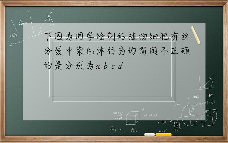 下图为同学绘制的植物细胞有丝分裂中染色体行为的简图不正确的是分别为a b c d