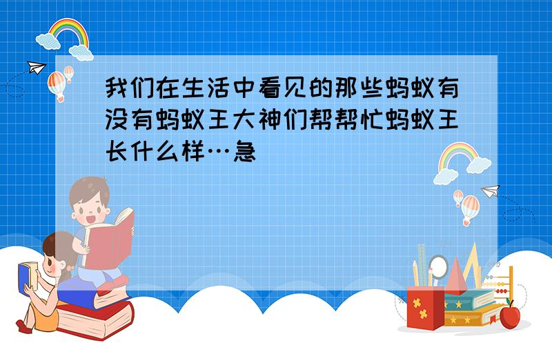 我们在生活中看见的那些蚂蚁有没有蚂蚁王大神们帮帮忙蚂蚁王长什么样…急