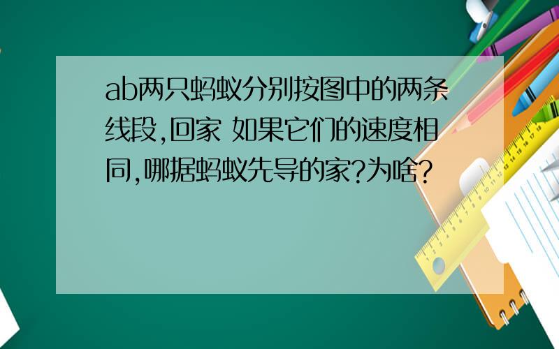 ab两只蚂蚁分别按图中的两条线段,回家 如果它们的速度相同,哪据蚂蚁先导的家?为啥?