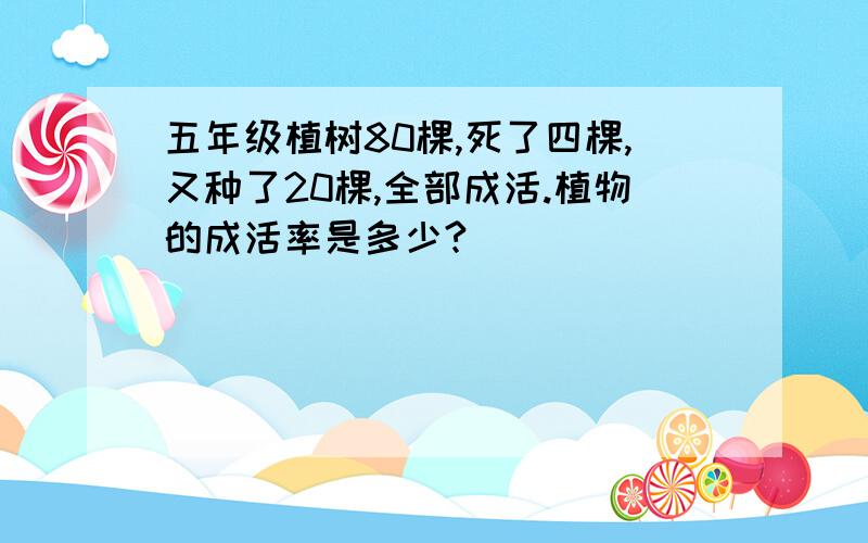 五年级植树80棵,死了四棵,又种了20棵,全部成活.植物的成活率是多少?