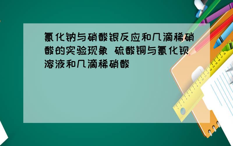 氯化钠与硝酸银反应和几滴稀硝酸的实验现象 硫酸铜与氯化钡溶液和几滴稀硝酸