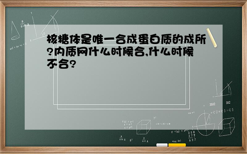 核糖体是唯一合成蛋白质的成所?内质网什么时候合,什么时候不合?