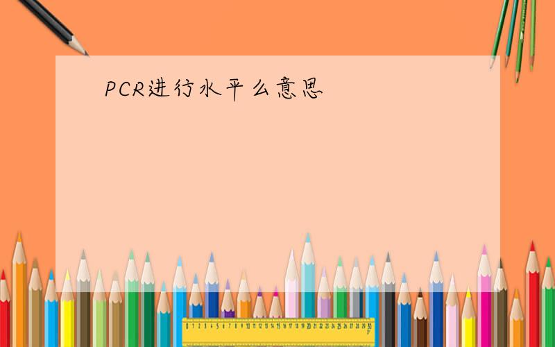 PCR进行水平么意思