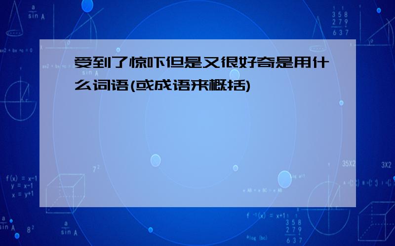 受到了惊吓但是又很好奇是用什么词语(或成语来概括)