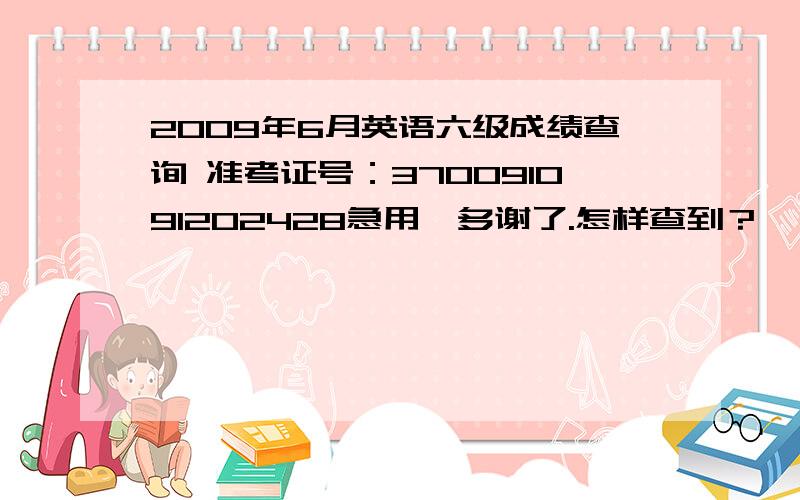 2009年6月英语六级成绩查询 准考证号：370091091202428急用,多谢了.怎样查到？