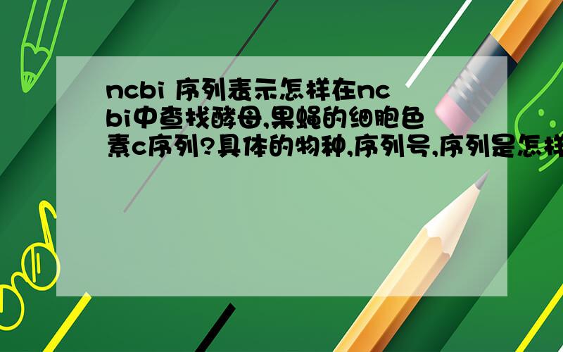 ncbi 序列表示怎样在ncbi中查找酵母,果蝇的细胞色素c序列?具体的物种,序列号,序列是怎样的?