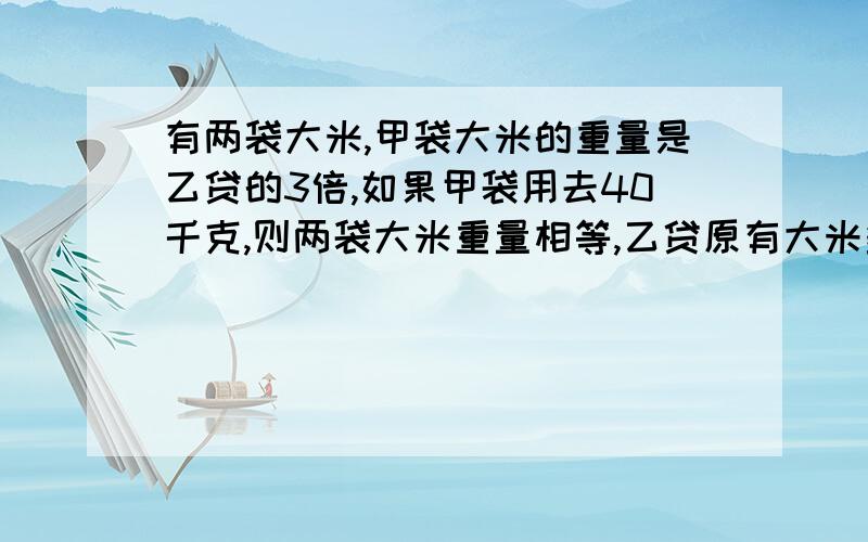 有两袋大米,甲袋大米的重量是乙贷的3倍,如果甲袋用去40千克,则两袋大米重量相等,乙贷原有大米多少千克?教教我