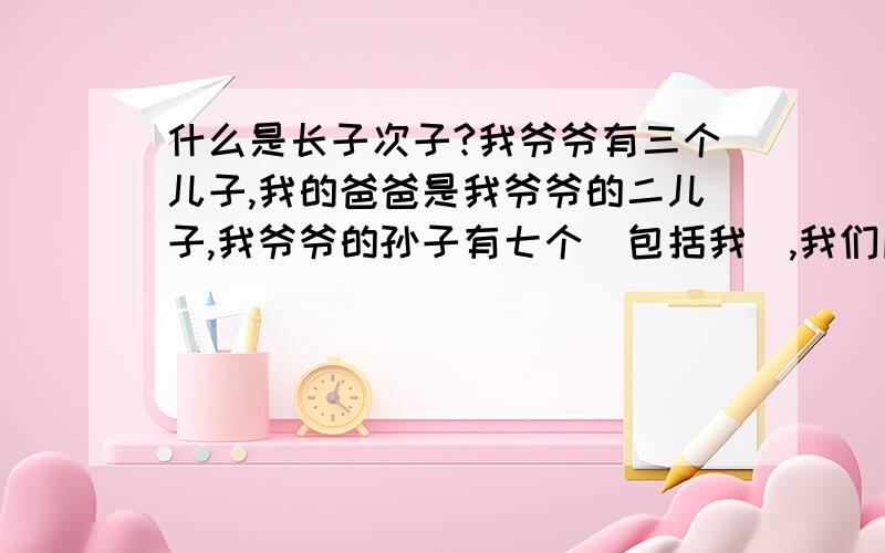 什么是长子次子?我爷爷有三个儿子,我的爸爸是我爷爷的二儿子,我爷爷的孙子有七个（包括我）,我们所有兄弟按照年龄：我大伯的儿子也就是我的堂哥排在第一位,我爸爸的儿子也就是我排