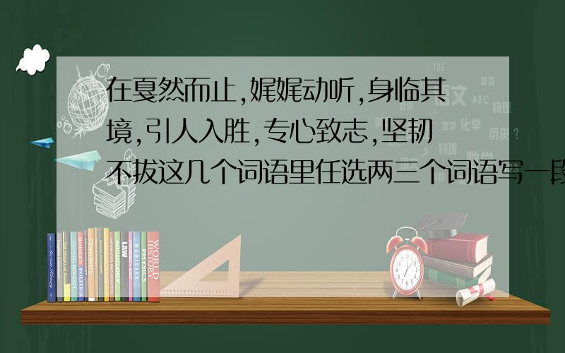 在戛然而止,娓娓动听,身临其境,引人入胜,专心致志,坚韧不拔这几个词语里任选两三个词语写一段话!（注意是啊、一段话!不是一句话!记住是一段话!一段话!一段话!一段话!）