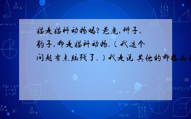 猫是猫科动物吗?老虎,狮子,豹子,都是猫科动物.（我这个问题有点脑残了.）我是说 其他的都很凶猛,都是野兽,为什么小猫这么胆小,害怕人,、.猫科动物的祖先是啥?为什么猫这么小.、.