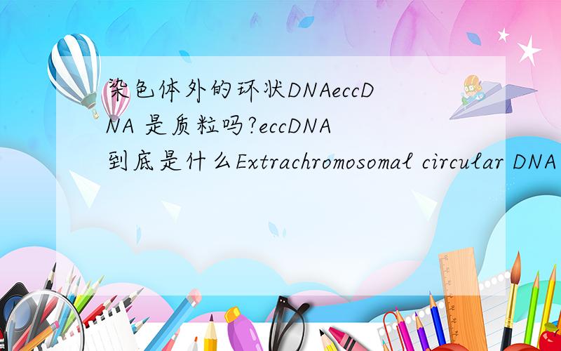 染色体外的环状DNAeccDNA 是质粒吗?eccDNA到底是什么Extrachromosomal circular DNA