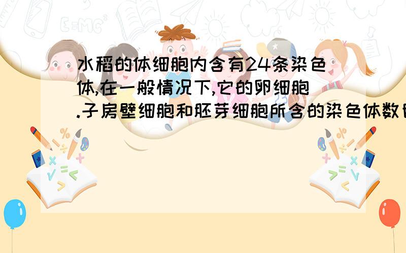 水稻的体细胞内含有24条染色体,在一般情况下,它的卵细胞.子房壁细胞和胚芽细胞所含的染色体数目是多少