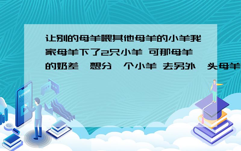 让别的母羊喂其他母羊的小羊我家母羊下了2只小羊 可那母羊的奶差,想分一个小羊 去另外一头母羊那去吃奶,可 那母羊 不喂 请问要有什么办法 那母羊才会喂那只小羊的奶?