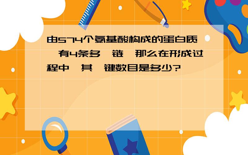 由574个氨基酸构成的蛋白质,有4条多肽链,那么在形成过程中,其肽键数目是多少?