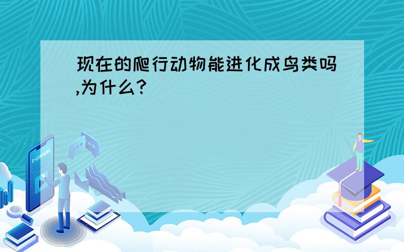 现在的爬行动物能进化成鸟类吗,为什么?