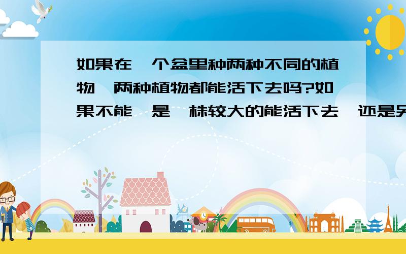 如果在一个盆里种两种不同的植物,两种植物都能活下去吗?如果不能,是一株较大的能活下去,还是另外两株别的类型的较小的能活下去?如果它们所需土质不同,土质会朝哪种植物所需求的变化