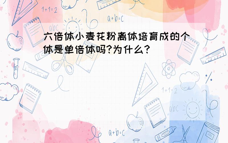 六倍体小麦花粉离体培育成的个体是单倍体吗?为什么?