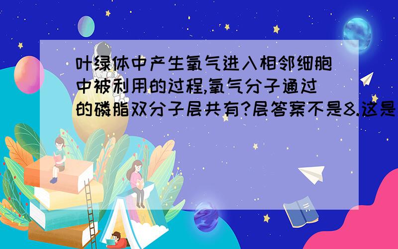 叶绿体中产生氧气进入相邻细胞中被利用的过程,氧气分子通过的磷脂双分子层共有?层答案不是8.这是西工大附中高2012届第二次期中考试的题,哪位同仁看见,