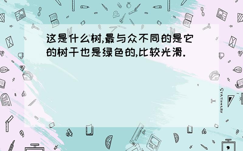 这是什么树,最与众不同的是它的树干也是绿色的,比较光滑.