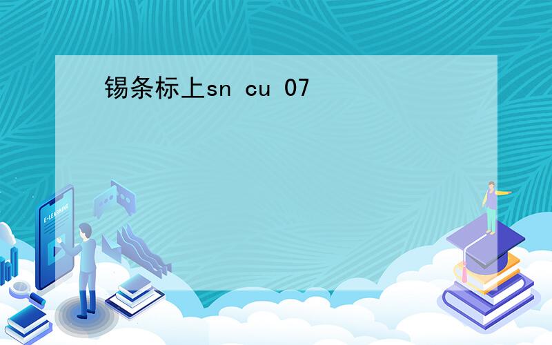 锡条标上sn cu 07