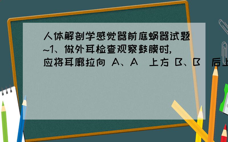 人体解剖学感觉器前庭蜗器试题~1、做外耳检查观察鼓膜时,应将耳廓拉向 A、A．上方 B、B．后上方 C、C．下方 D、D．后下方 2、外耳道的特点不包括 A、A．是一弯曲的管道 B、B．外l／3为软骨