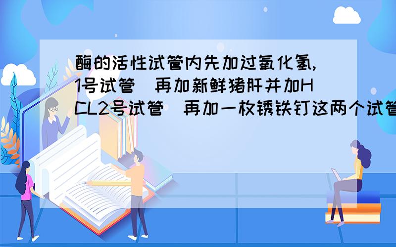 酶的活性试管内先加过氧化氢,1号试管）再加新鲜猪肝并加HCL2号试管）再加一枚锈铁钉这两个试管有何现象?（最好1号试管解释详细点）