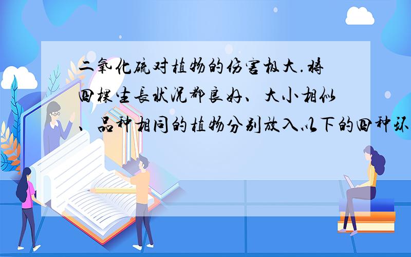 二氧化硫对植物的伤害极大.将四棵生长状况都良好、大小相似、品种相同的植物分别放入以下的四种环境中,如果四种环境中的二氧化硫的浓度相同,你认为下列哪种情况下植物受到的伤害最